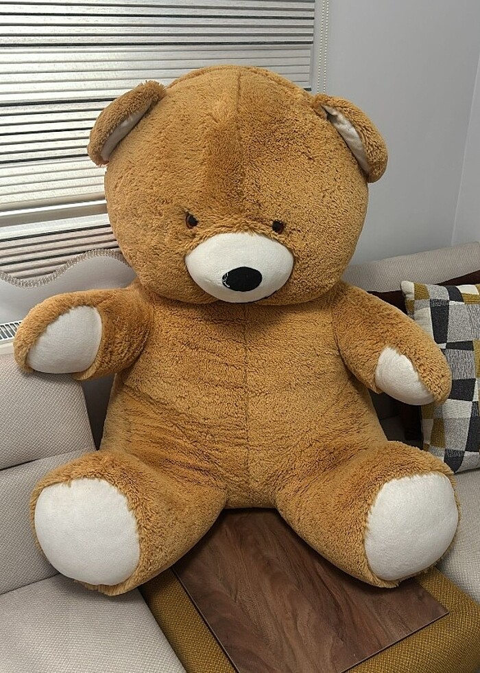 Pelüs ayi - Görsel 2