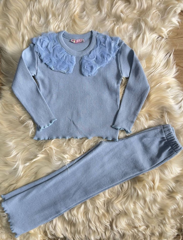 Kız Çocuk Takım(etiketli) - Görsel 3