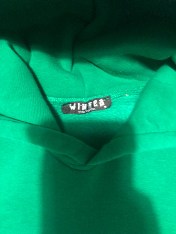 Yeşil Kapüşonlu Baskılı Erkek Sweatshirt - Görsel 4