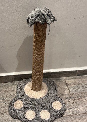 Gri Kedi Tırmalama Tahtası - Görsel 2