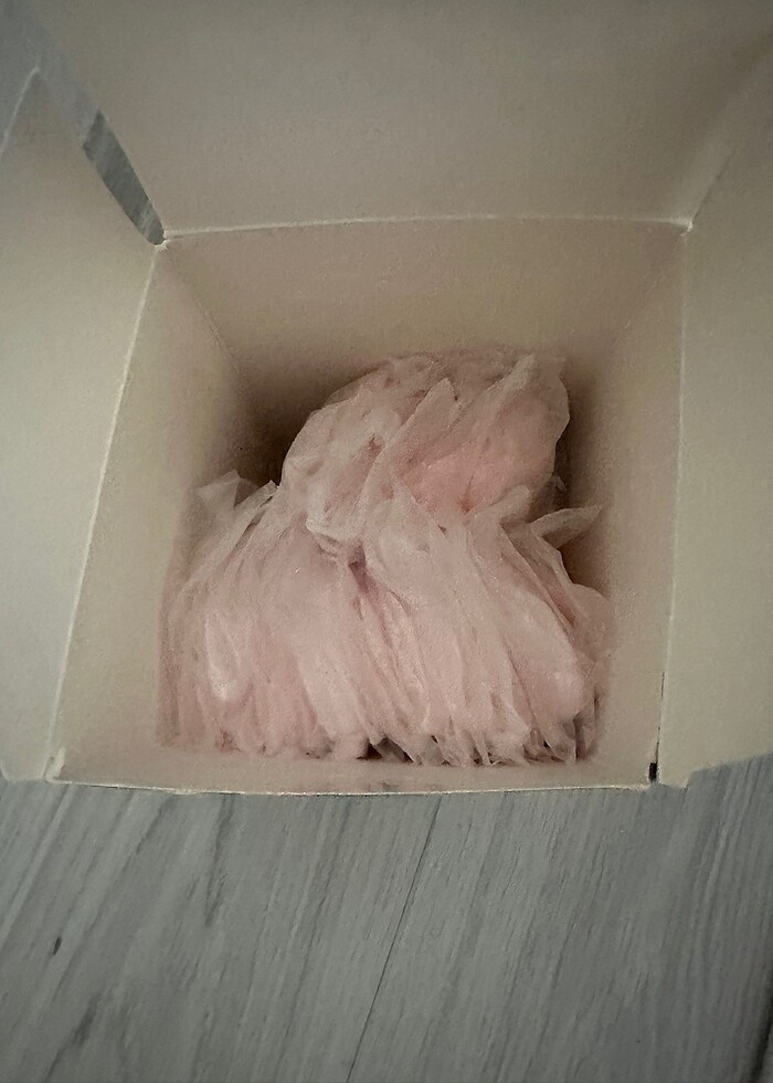 Göğüs pedi - Görsel 2