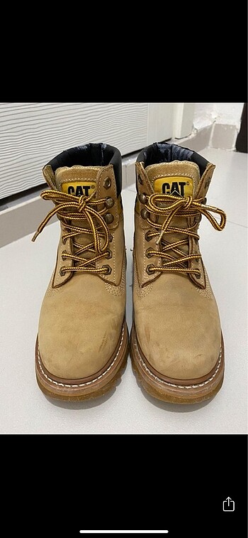 Cat Cat Bot
