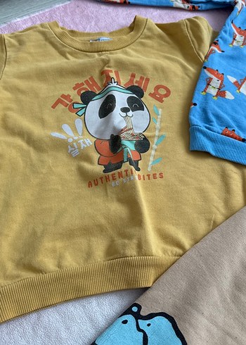 Erkek Bebek Nakışlı ve Baskılı Sweatshirt Takımı - Görsel 3