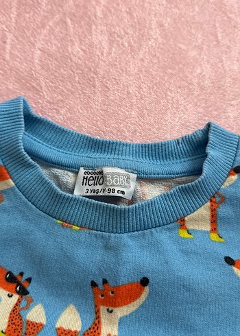 Erkek Bebek Nakışlı ve Baskılı Sweatshirt Takımı - Görsel 5