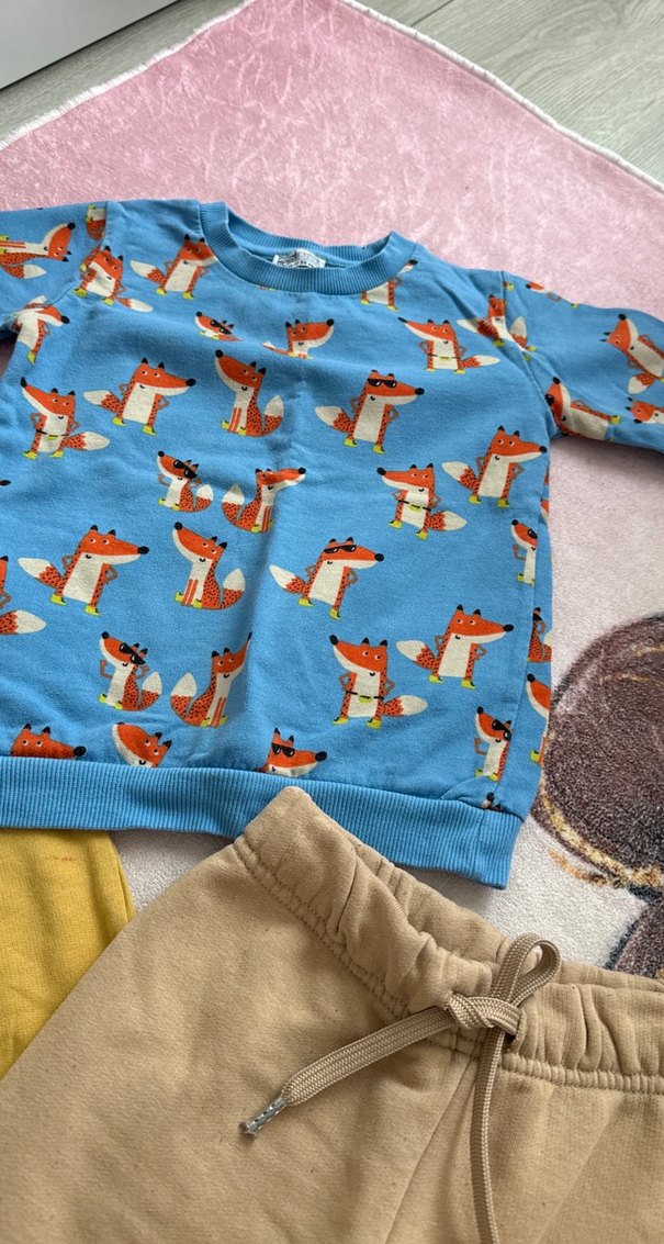 Erkek Bebek Nakışlı ve Baskılı Sweatshirt Takımı - Görsel 4