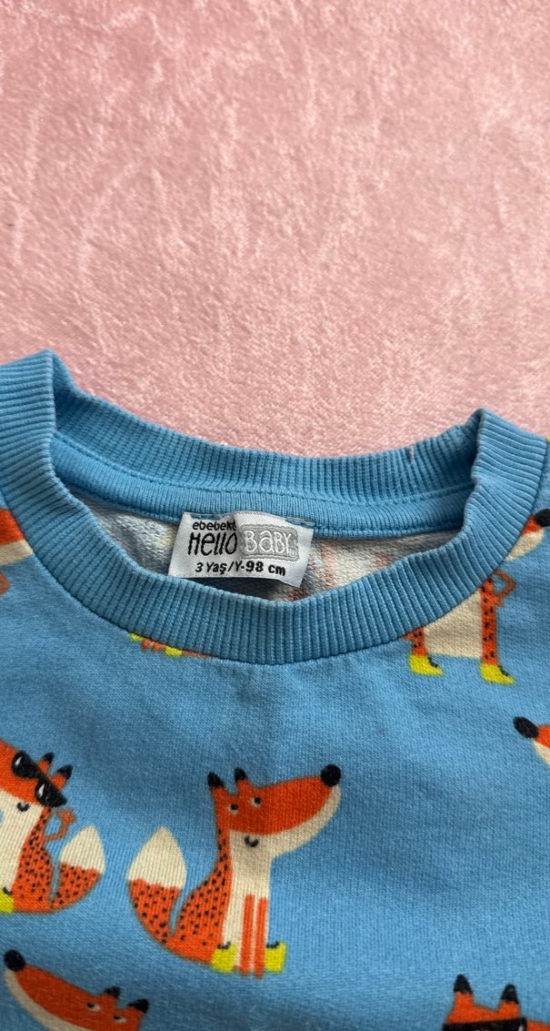 Erkek Bebek Nakışlı ve Baskılı Sweatshirt Takımı - Görsel 5