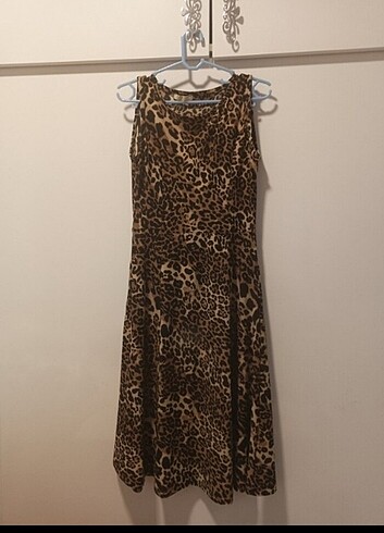 Leopar 