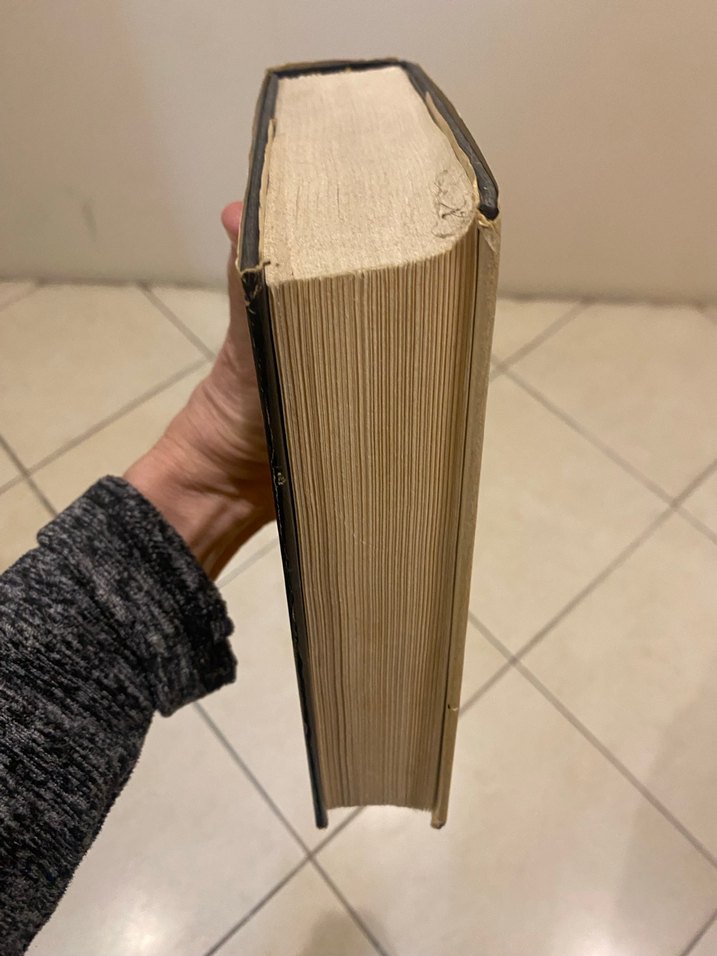 Leon Uris - The Haj - İngilizce Roman - Görsel 3