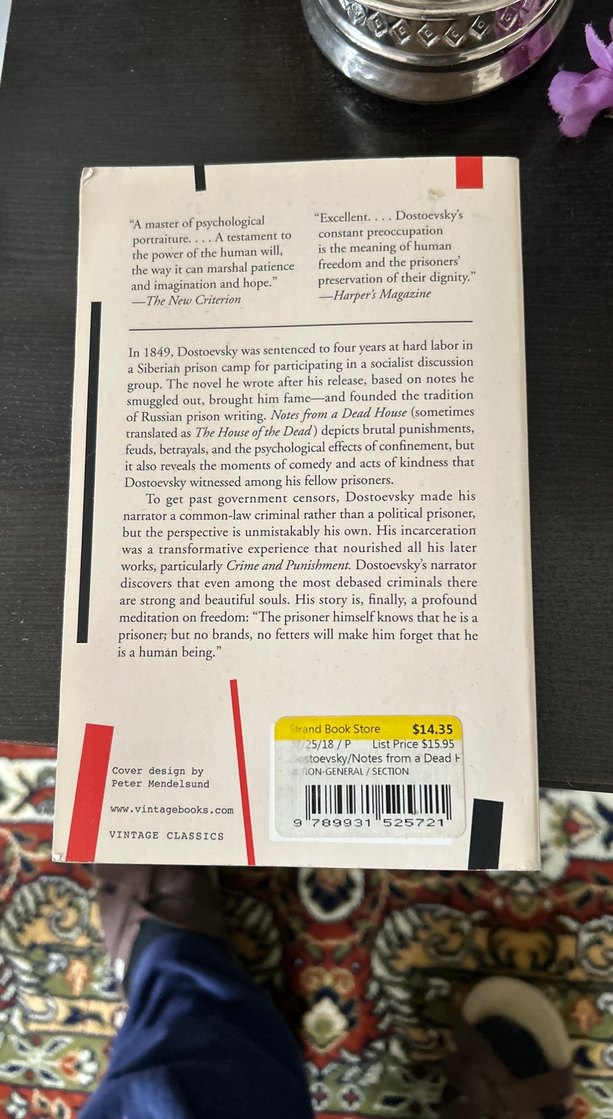 Ölüler Evinin Notları - Fyodor Dostoyevski - Görsel 4
