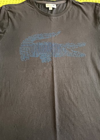 Lacoste lacivert i Baskılı pamuklu Erkek Tişört