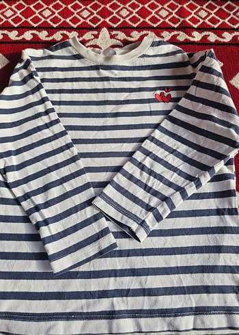 Nakışlı Çizgili Kız Çocuk Uzun Kollu Tişört - Görsel 4