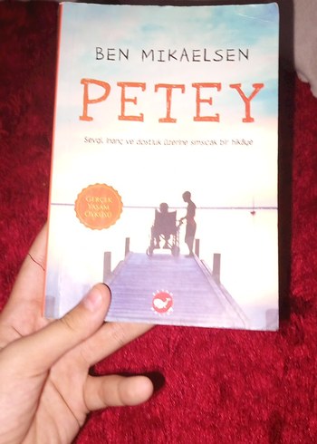 Petey - Ben Mikaelsen Roman