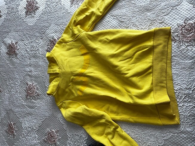 Ltb polar