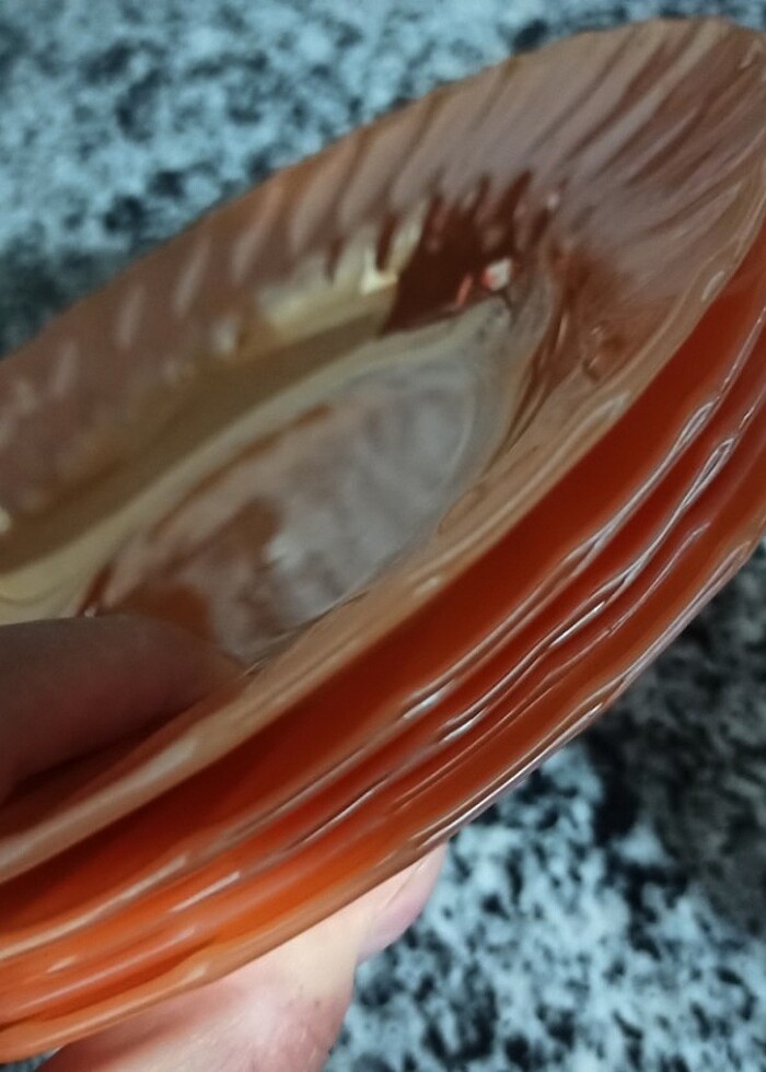 Termocrisa tabak - Görsel 3