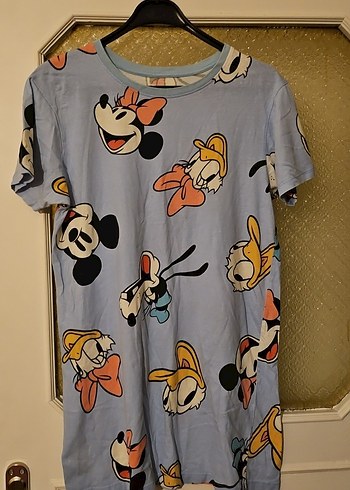 Walt Disney World 17-18 years