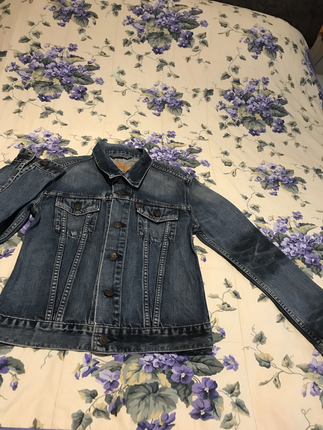 Levis Lewis kot ceket