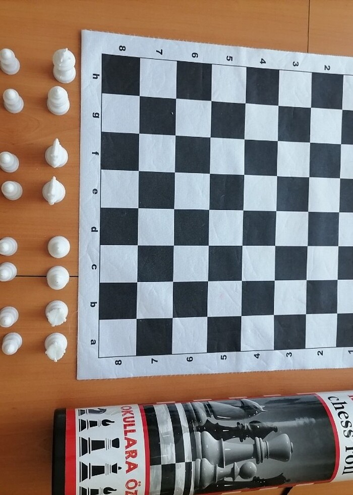 Satranç - Görsel 4