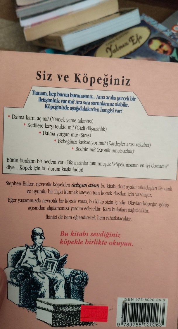Nevrotik Köpekle Nasıl Yaşarsınız? - Görsel 2