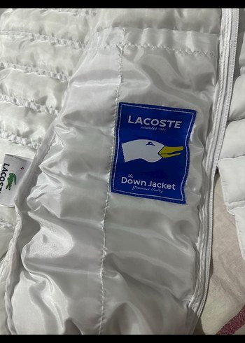 LACOSTE BEYAZ MONT - Görsel 5