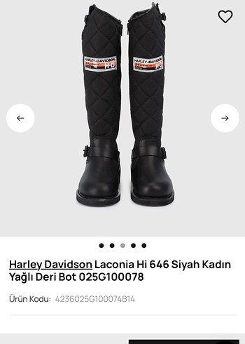 HARLEY ÇİZME - Görsel 4