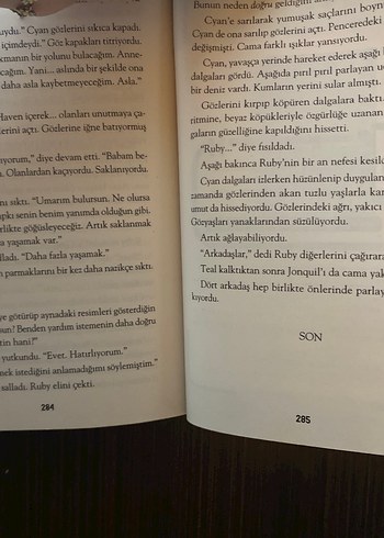 Ani Hırsızlar - Darren Simpson - Görsel 7