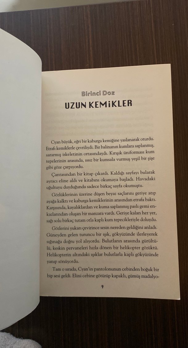 Ani Hırsızlar - Darren Simpson - Görsel 3