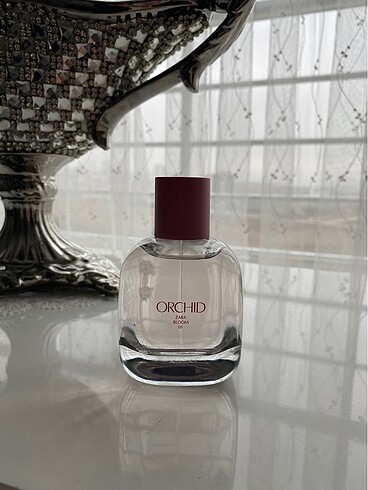 Zara orchid