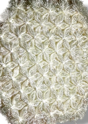 Renkli İşlemeli Geleneksel Lif - Görsel 6