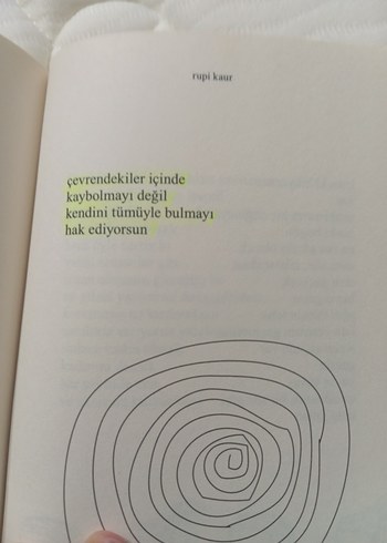 Süt ve Bal - Rupi Kaur - Görsel 3