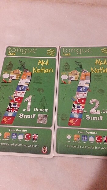 Tonguç 7. Sınıf Akil notları 