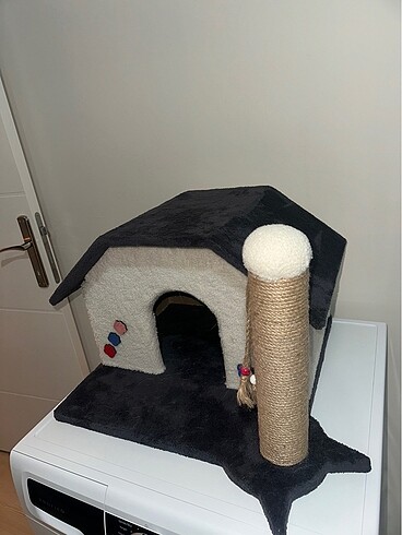  kedi evi