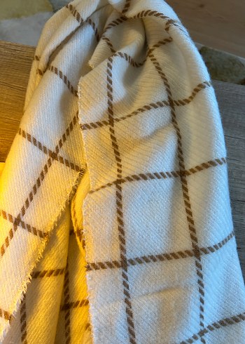 Bej Ekose kadın atkı - Görsel 4