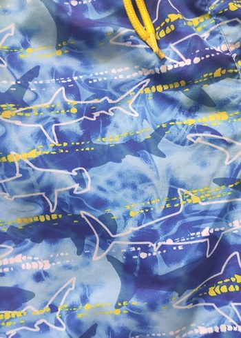 Renkli Bağcıklı Erkek Şort - Görsel 4