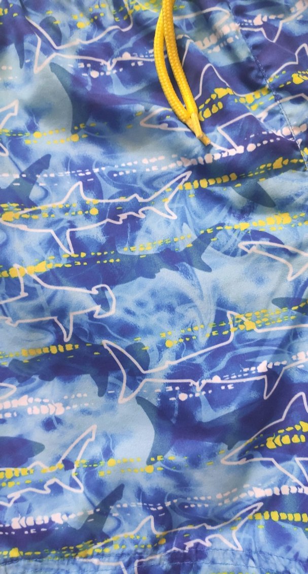 Renkli Bağcıklı Erkek Şort - Görsel 4