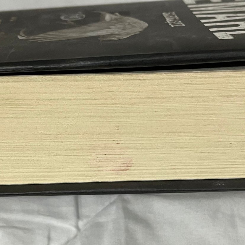 Emare Sarmaşık - Aslı Arslan - Görsel 3