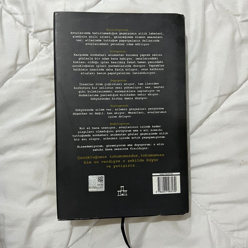 Emare Sarmaşık - Aslı Arslan - Görsel 2