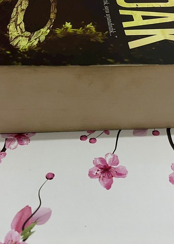 Adak - Roman - Görsel 3