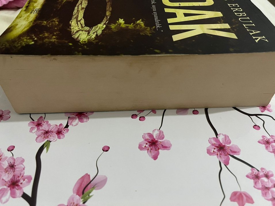 Adak - Roman - Görsel 3