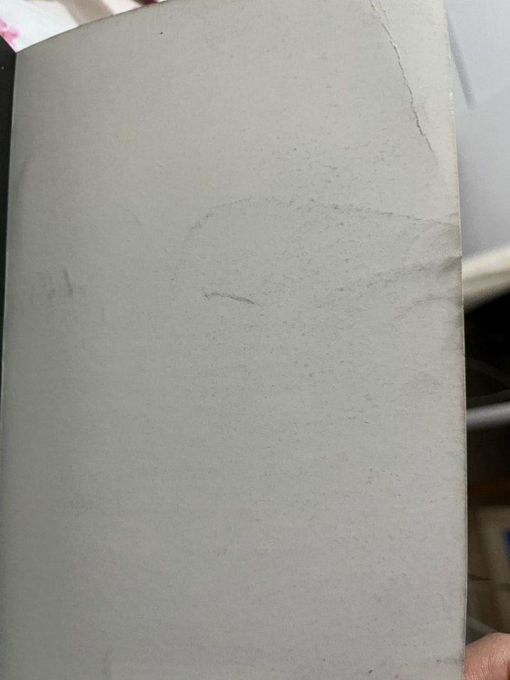 Siyah Kuğu - Ruh Kadehi Beyza Aksoy - Görsel 3