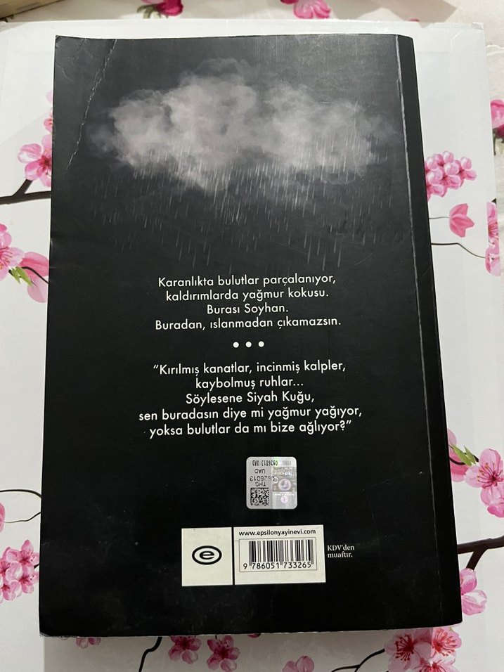 Siyah Kuğu - Ruh Kadehi Beyza Aksoy - Görsel 2