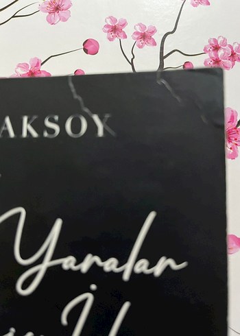 Açık Yaralar ve Dikiş İzleri - Beyza Aksoy - Görsel 3