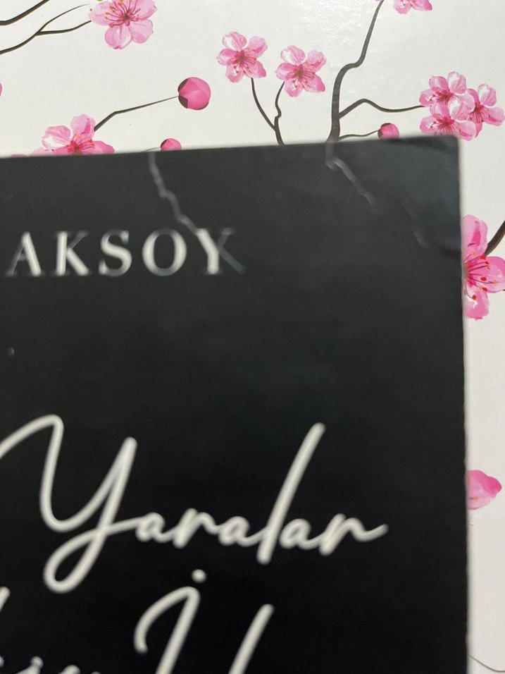 Açık Yaralar ve Dikiş İzleri - Beyza Aksoy - Görsel 3