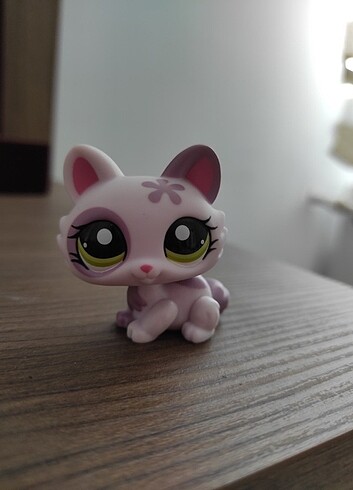 Yavru Kedi Miniş
