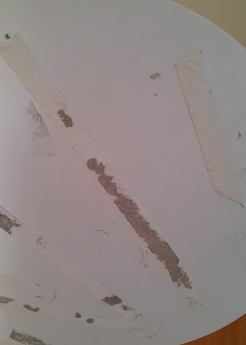 Pastel Renkli Kahverengi Peluş Ayıcık - Görsel 4