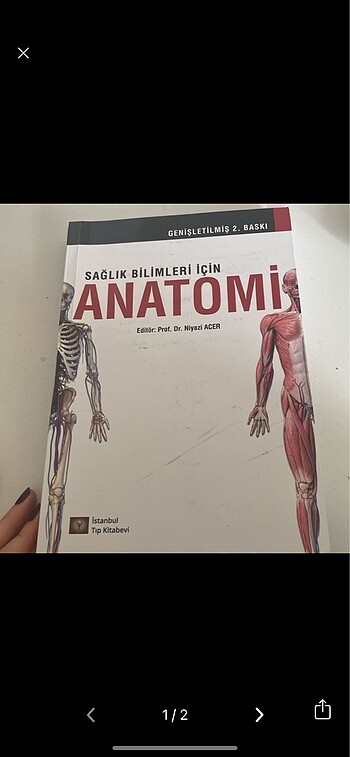 Anatomi kitabı