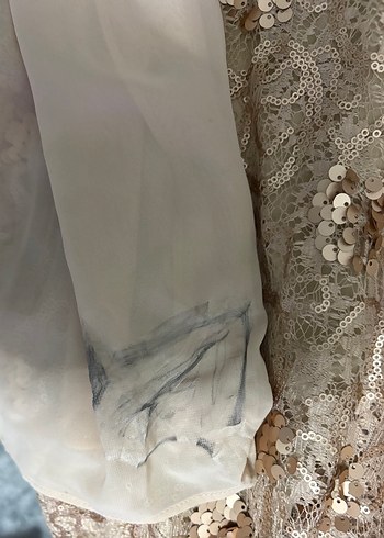 Nakışlı Bej Uzun Abiye Elbise - Görsel 3