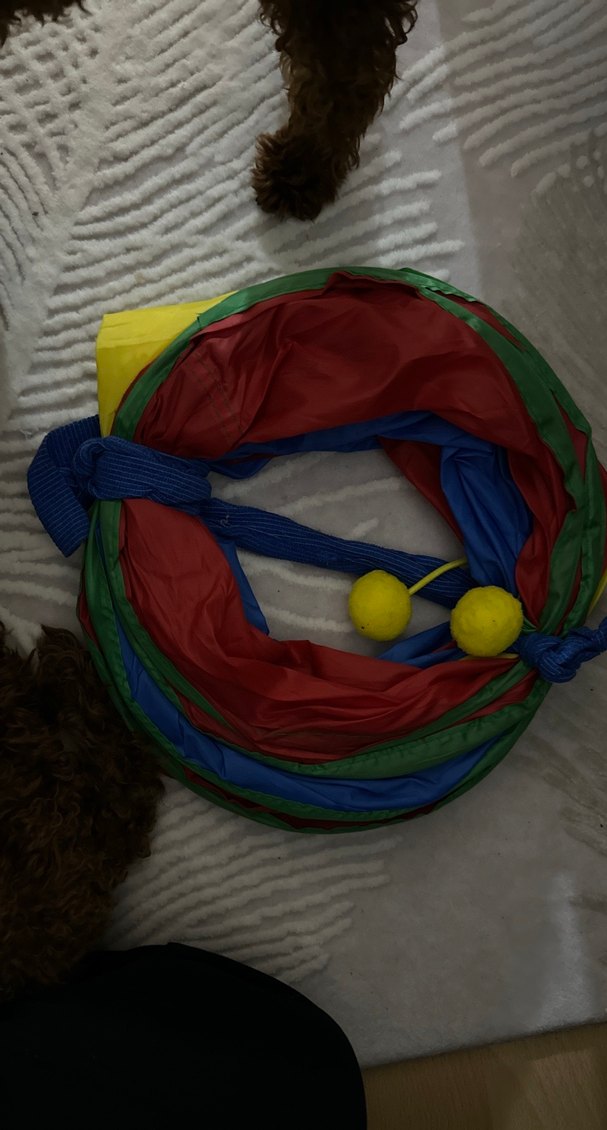 4 Yollu Katlanabilir Gökkuşağı Kedi Tüneli - Görsel 2