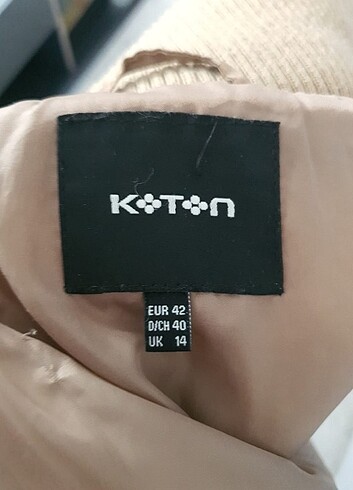 Koton mont