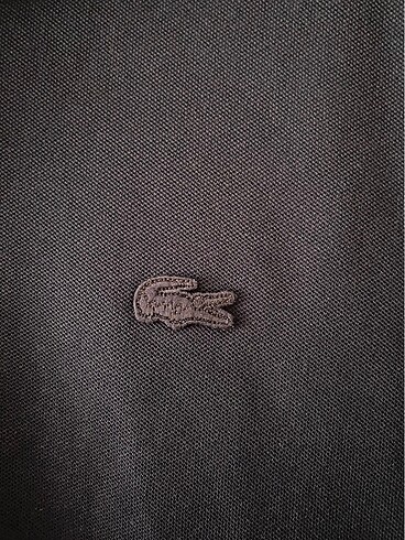 l Beden Lacoste erkek sweat
