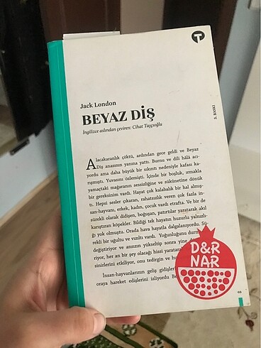 Beyaz diş